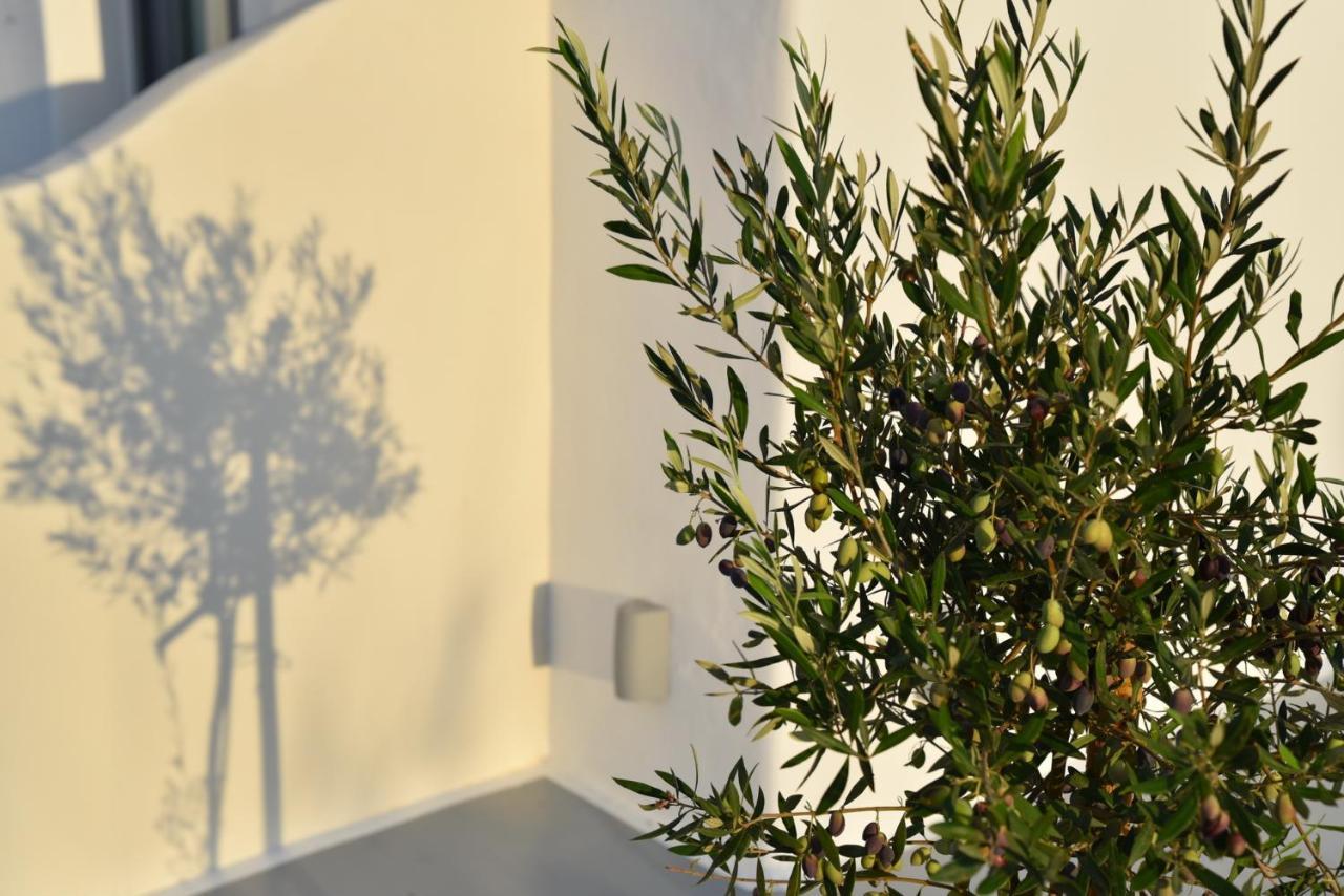 Crystal Mare Suites Naxos City Екстериор снимка
